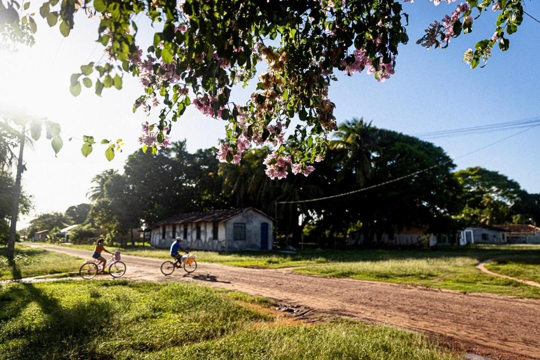 Pousada O Canto Do Frances Hotel Soure Exterior photo